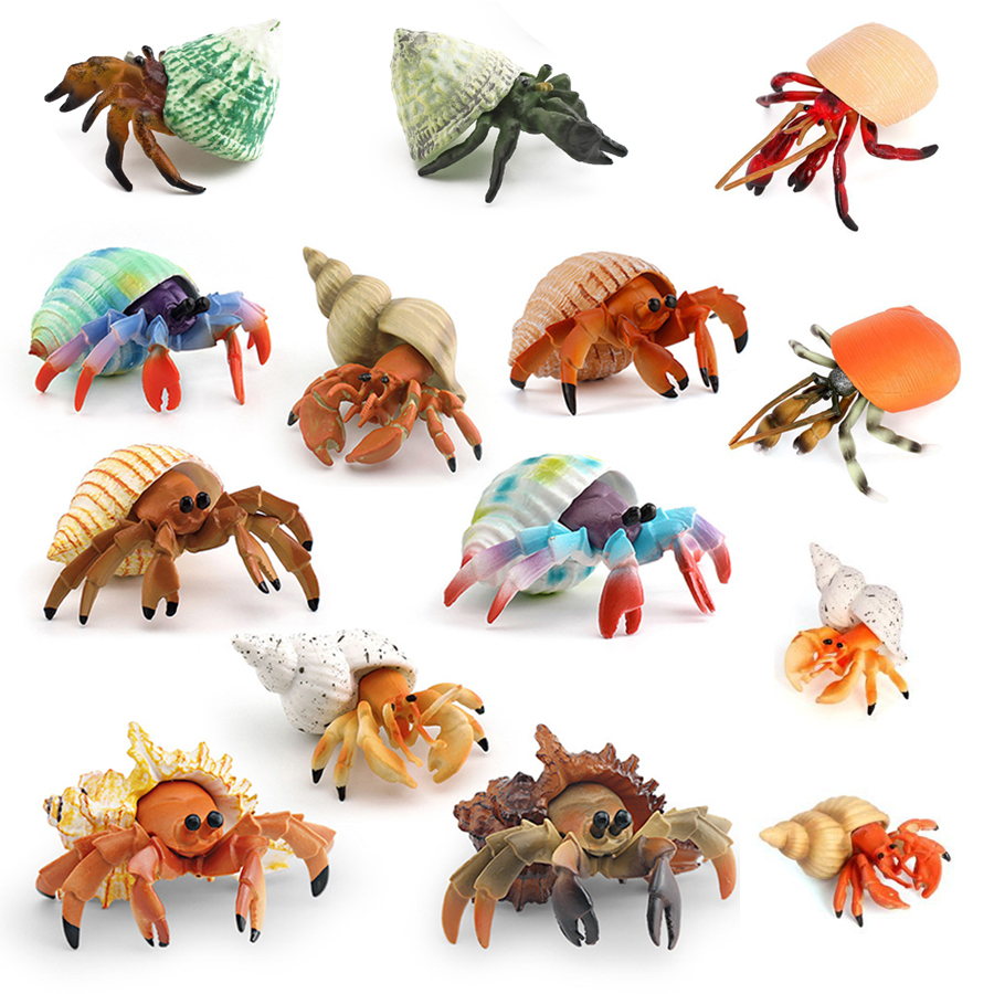 リアルなヤドカリフィギュア耐久性のあるPVC海洋生物動物モデ - Kids Toys 3 Year Old のレビューと価格